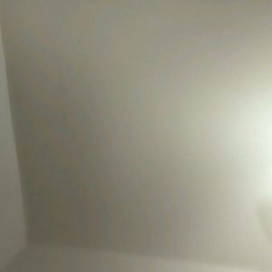 Meet your Posher, Gloria